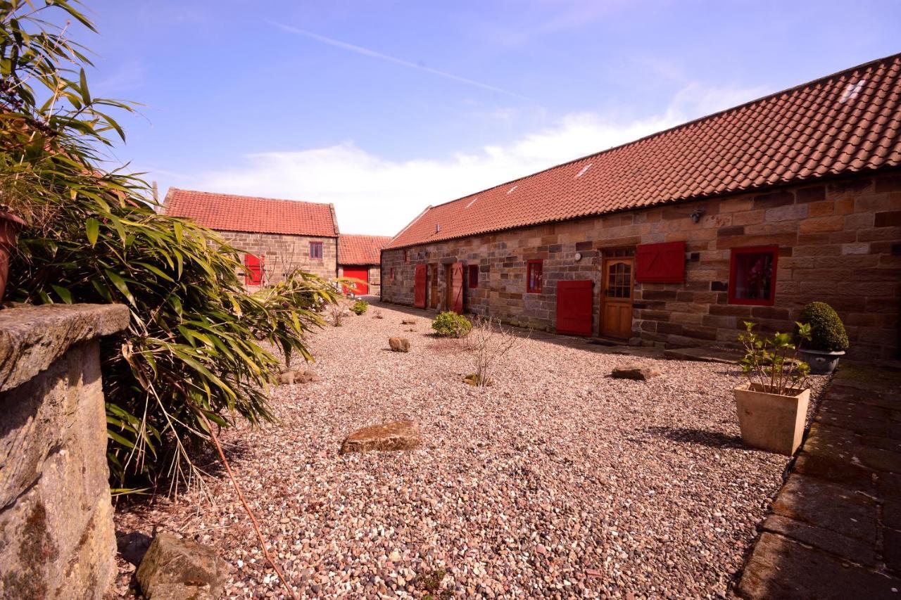 Sebright Cottage, Borrowby Farm Cottages Staithes Exteriér fotografie