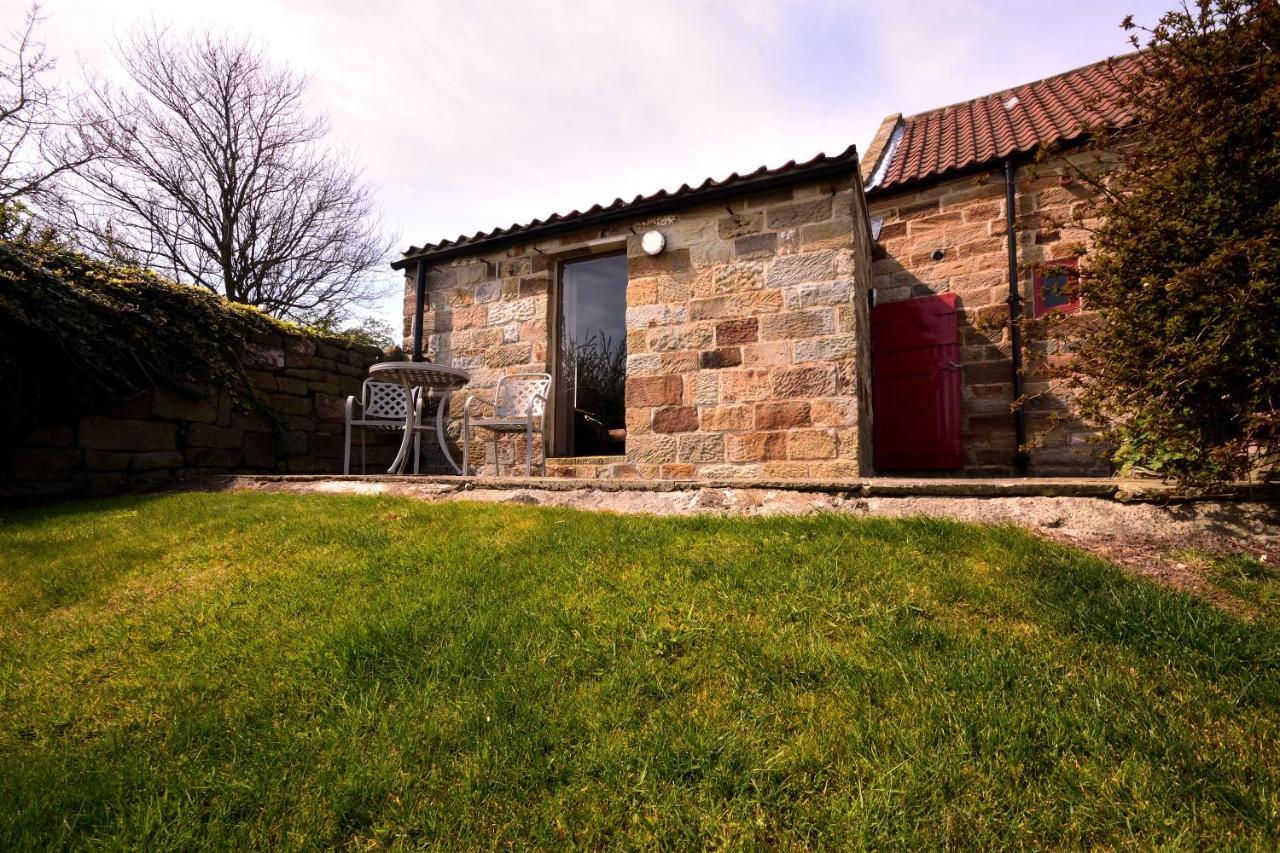 Sebright Cottage, Borrowby Farm Cottages Staithes Exteriér fotografie