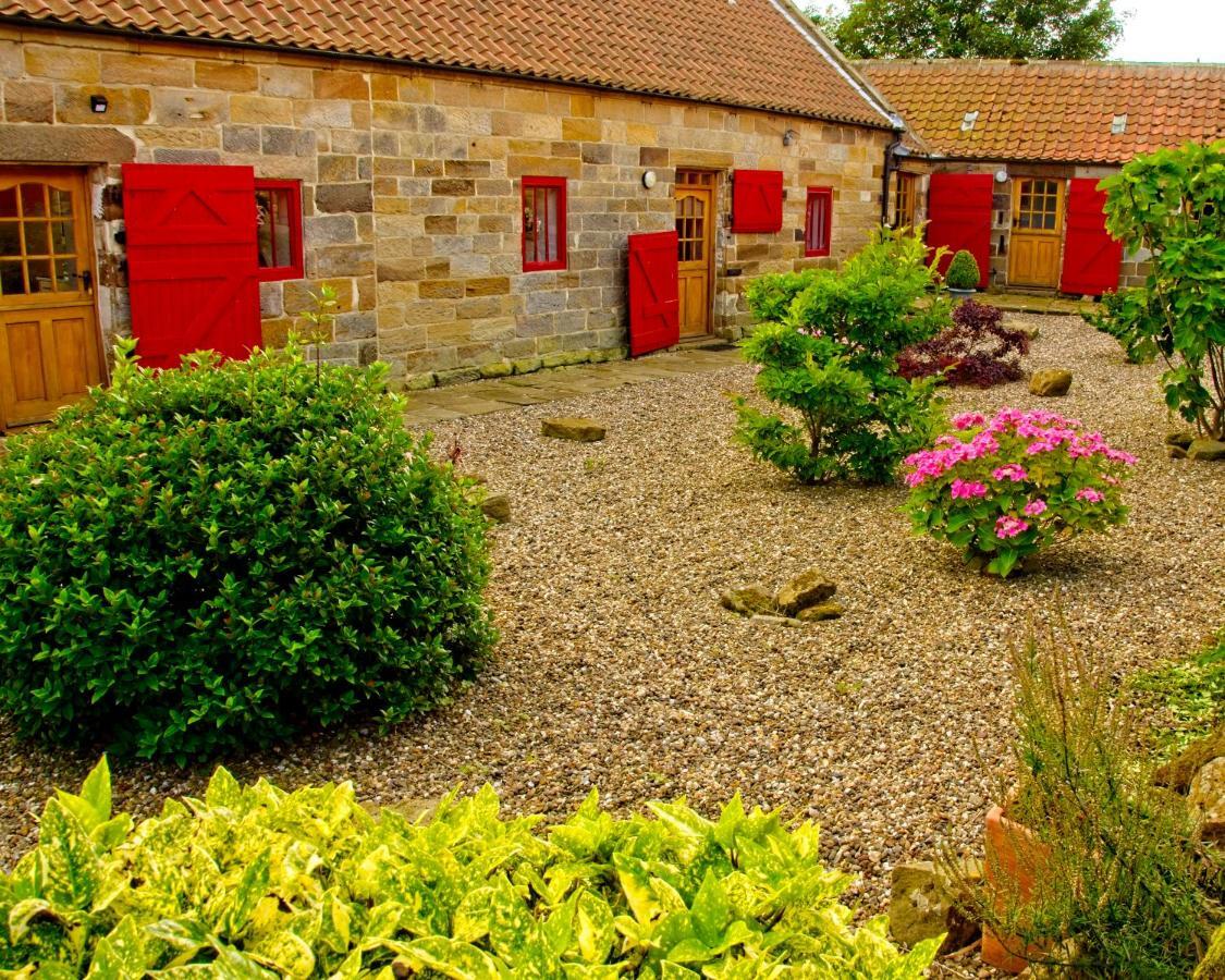 Sebright Cottage, Borrowby Farm Cottages Staithes Exteriér fotografie