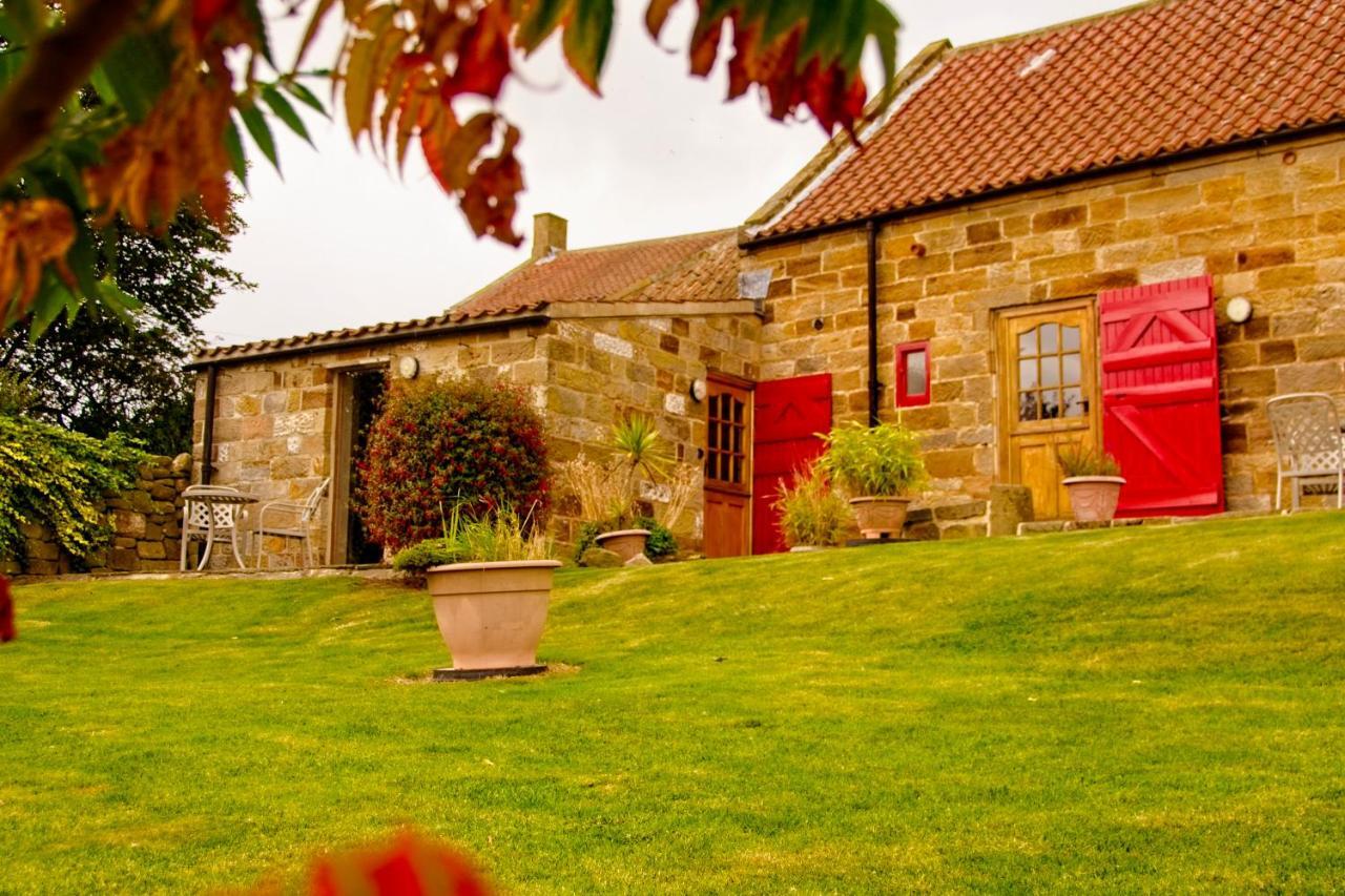 Sebright Cottage, Borrowby Farm Cottages Staithes Exteriér fotografie